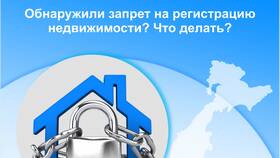 Что означает арест на регистрационные действия в Аврора