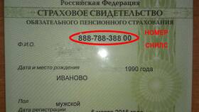 Что такое данные паспорта в Аврора