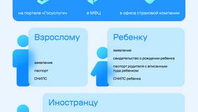 Как и куда подавать документы: полное руководство в Аврора