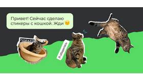 Как купить стикеры в ВК в Аврора