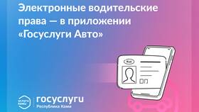 Как оформить водительские права через Госуслуги в Аврора