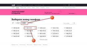Как работает интернет Tele2 в роуминге в Аврора