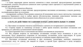 Как самозанятые платят алименты в Аврора
