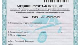 Какие документы нужны для справки в ГИБДД в Аврора
