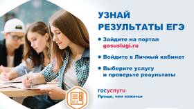 Почему не пришли результаты ЕГЭ на Госуслуги в Аврора