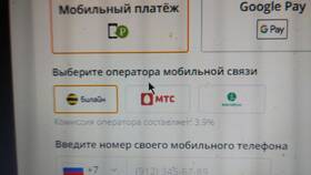 Почему не удается оплатить товары на Aliexpress в Аврора