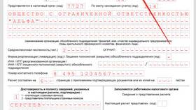 Почему у ИП нет КПП в Аврора