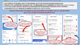 Пошаговая инструкция регистрации на Госуслугах в Аврора
