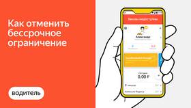 Яндекс: про что за заказы в Аврора